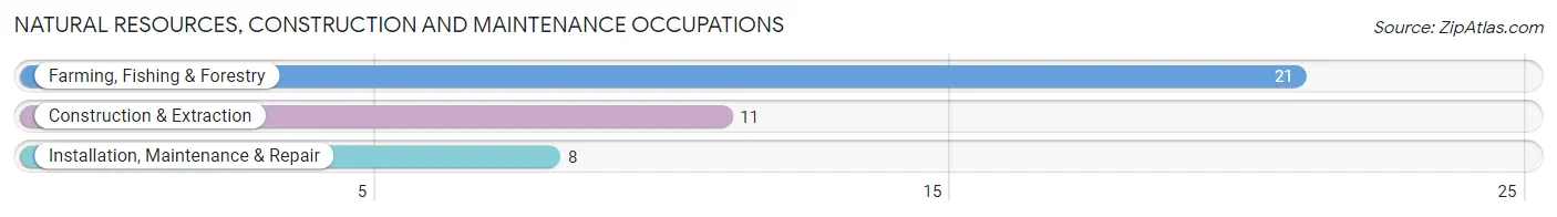 Natural Resources, Construction and Maintenance Occupations in Zip Code 66520