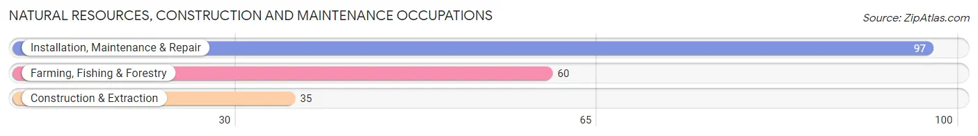 Natural Resources, Construction and Maintenance Occupations in Zip Code 66534