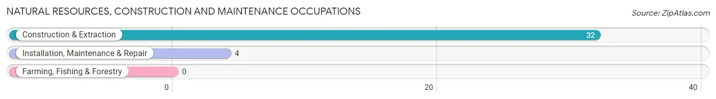 Natural Resources, Construction and Maintenance Occupations in Zip Code 66773