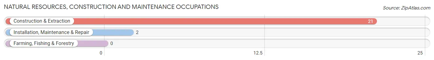 Natural Resources, Construction and Maintenance Occupations in Zip Code 66781