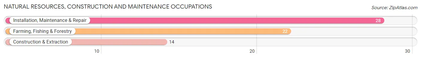 Natural Resources, Construction and Maintenance Occupations in Zip Code 66845