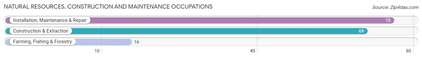 Natural Resources, Construction and Maintenance Occupations in Zip Code 66866