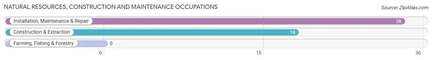 Natural Resources, Construction and Maintenance Occupations in Zip Code 66869