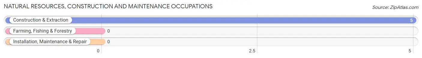 Natural Resources, Construction and Maintenance Occupations in Zip Code 66942