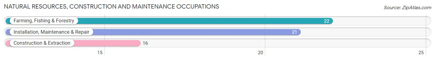 Natural Resources, Construction and Maintenance Occupations in Zip Code 67004