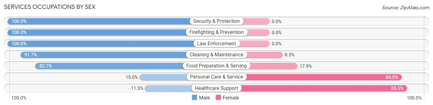 Services Occupations by Sex in Zip Code 67013