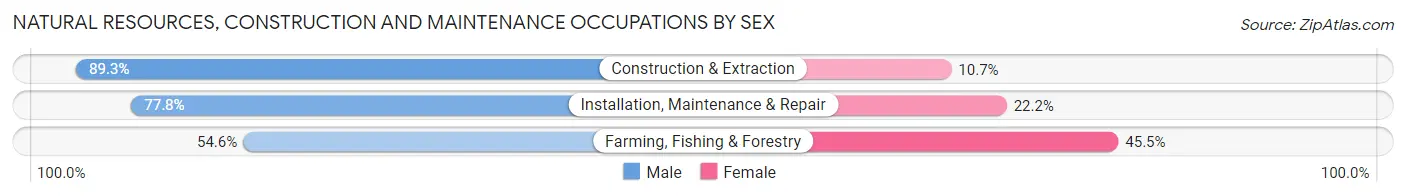 Natural Resources, Construction and Maintenance Occupations by Sex in Zip Code 67022