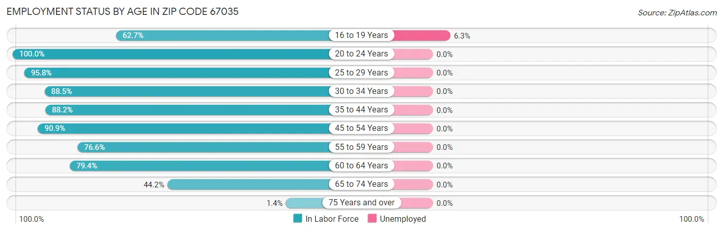 Employment Status by Age in Zip Code 67035