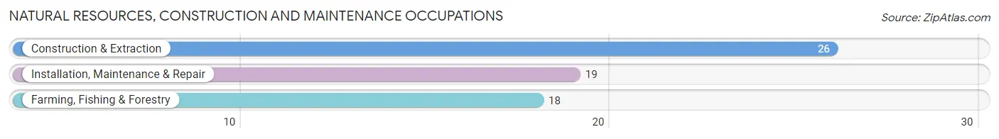 Natural Resources, Construction and Maintenance Occupations in Zip Code 67054