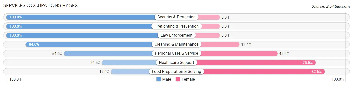 Services Occupations by Sex in Zip Code 67063