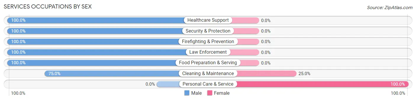 Services Occupations by Sex in Zip Code 67101