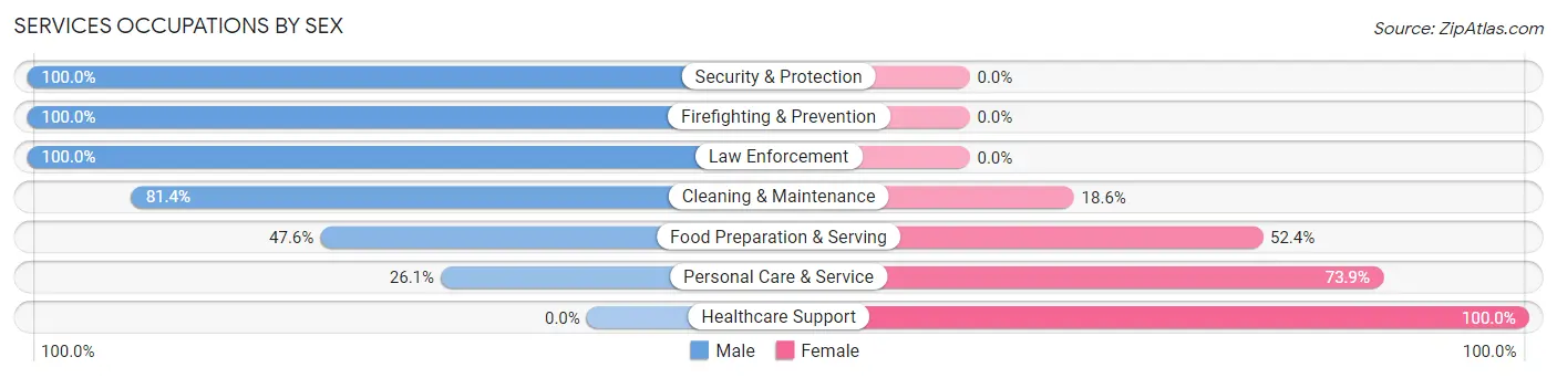 Services Occupations by Sex in Zip Code 67107