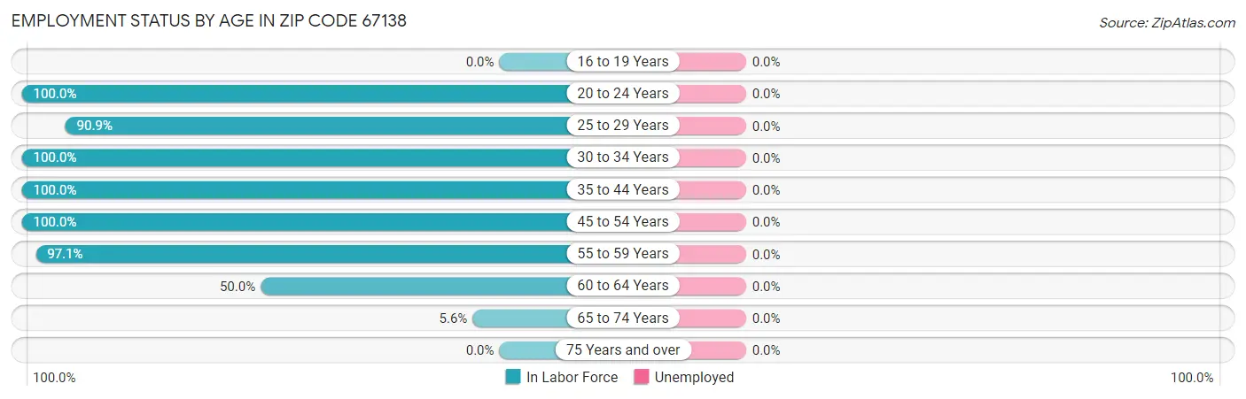 Employment Status by Age in Zip Code 67138