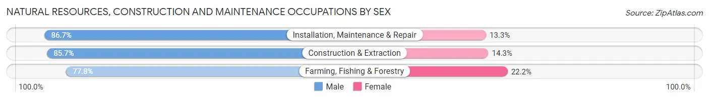Natural Resources, Construction and Maintenance Occupations by Sex in Zip Code 67140