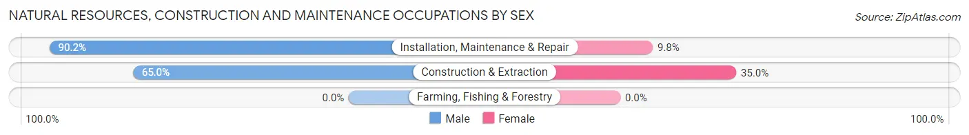 Natural Resources, Construction and Maintenance Occupations by Sex in Zip Code 67146