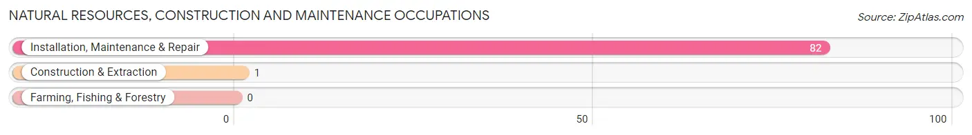 Natural Resources, Construction and Maintenance Occupations in Zip Code 67202