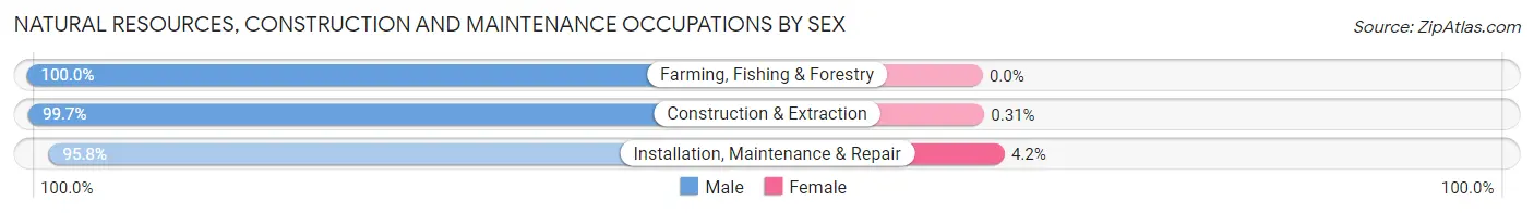 Natural Resources, Construction and Maintenance Occupations by Sex in Zip Code 67214