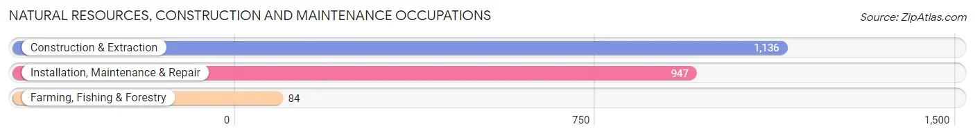 Natural Resources, Construction and Maintenance Occupations in Zip Code 67217