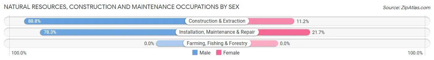 Natural Resources, Construction and Maintenance Occupations by Sex in Zip Code 67219