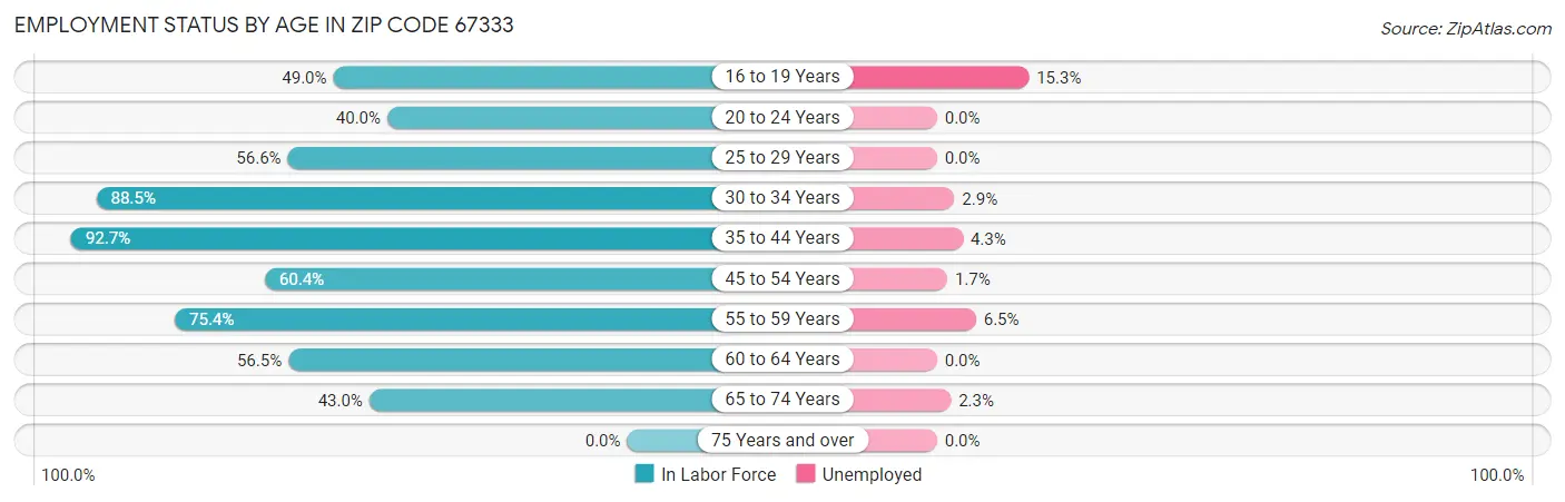 Employment Status by Age in Zip Code 67333