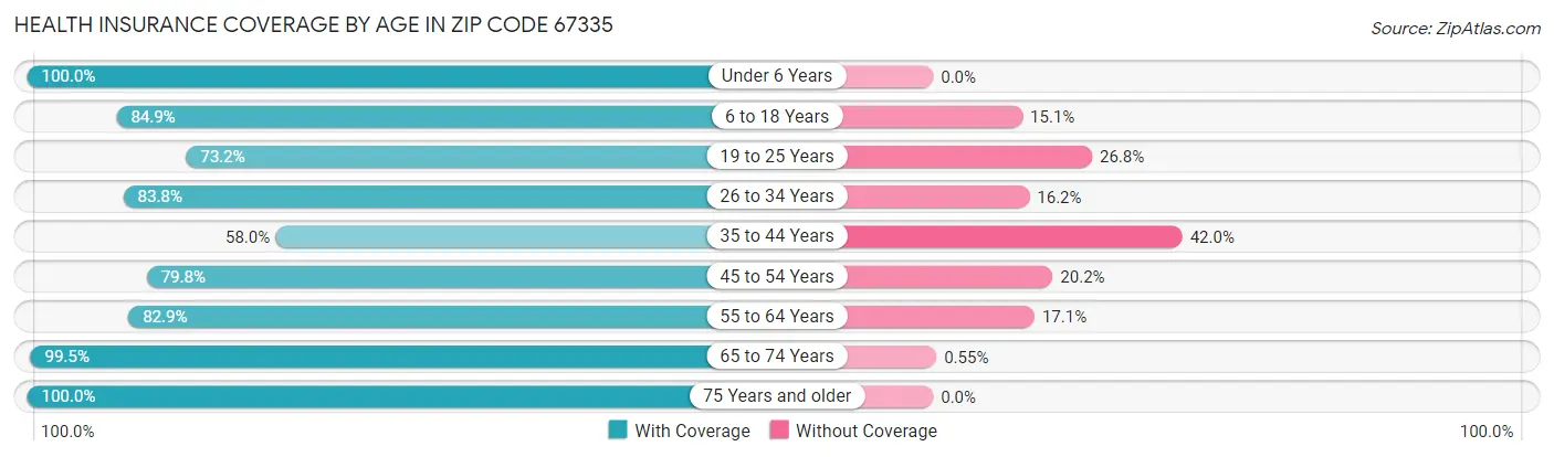 Health Insurance Coverage by Age in Zip Code 67335
