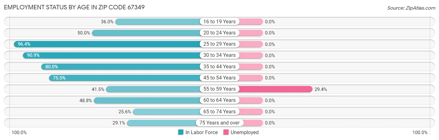 Employment Status by Age in Zip Code 67349