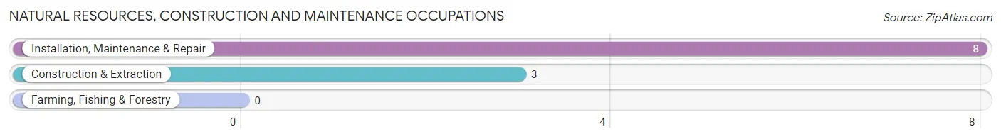 Natural Resources, Construction and Maintenance Occupations in Zip Code 67351