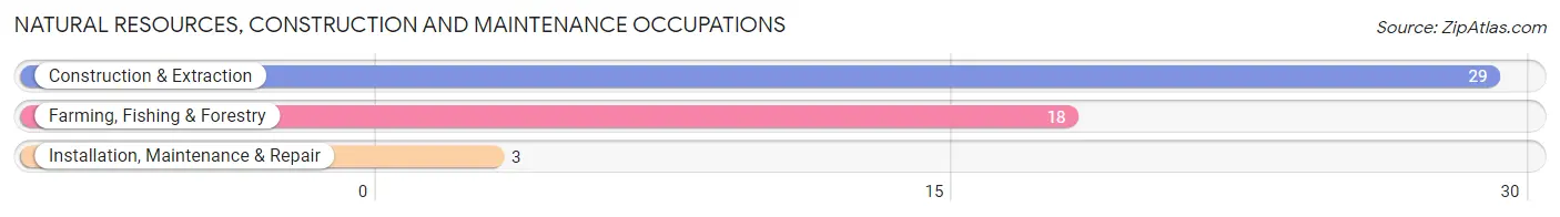 Natural Resources, Construction and Maintenance Occupations in Zip Code 67437