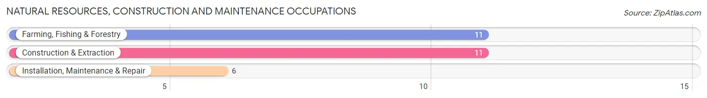 Natural Resources, Construction and Maintenance Occupations in Zip Code 67438