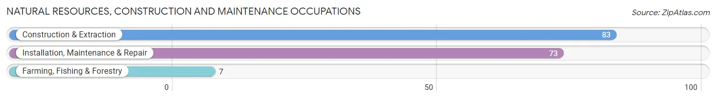 Natural Resources, Construction and Maintenance Occupations in Zip Code 67449