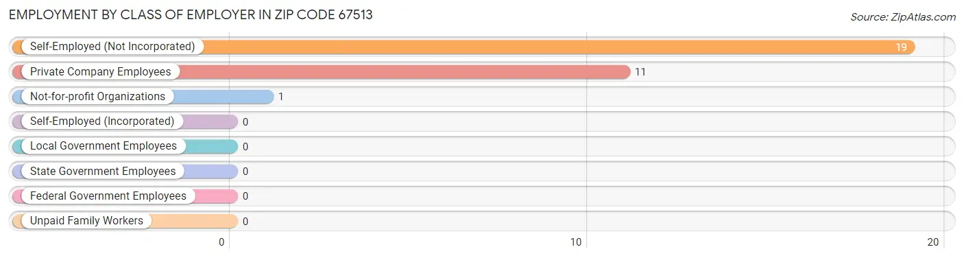 Employment by Class of Employer in Zip Code 67513