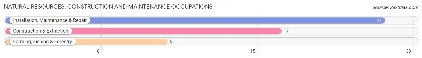 Natural Resources, Construction and Maintenance Occupations in Zip Code 67524