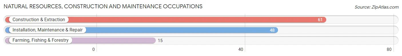 Natural Resources, Construction and Maintenance Occupations in Zip Code 67547