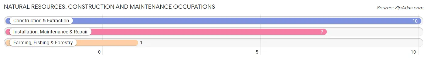 Natural Resources, Construction and Maintenance Occupations in Zip Code 67564