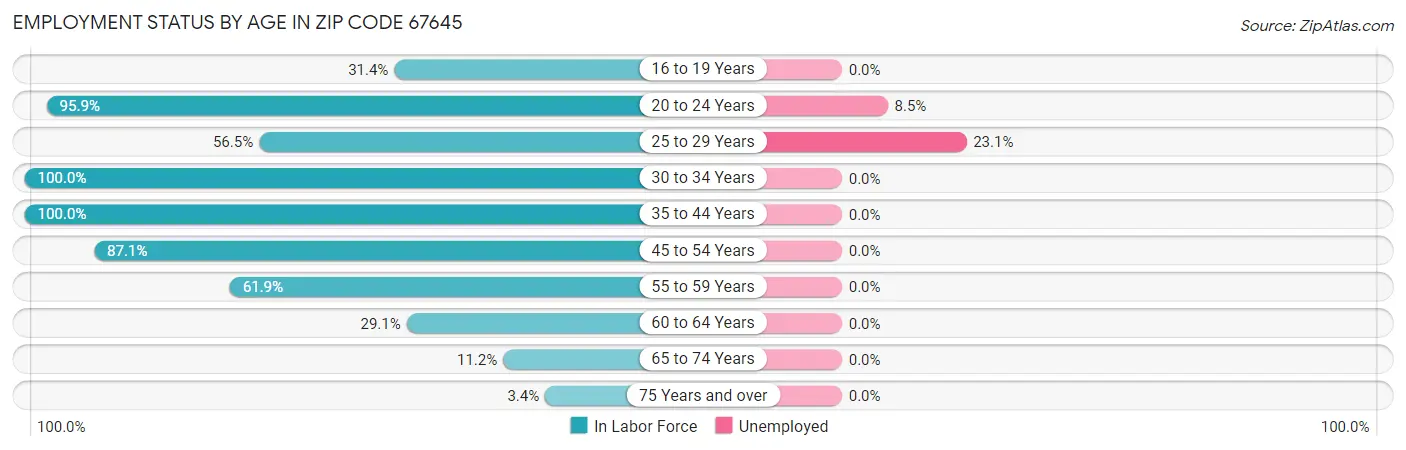 Employment Status by Age in Zip Code 67645