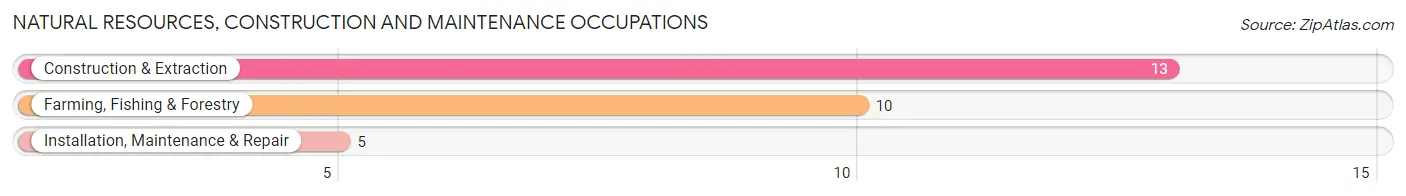 Natural Resources, Construction and Maintenance Occupations in Zip Code 67739