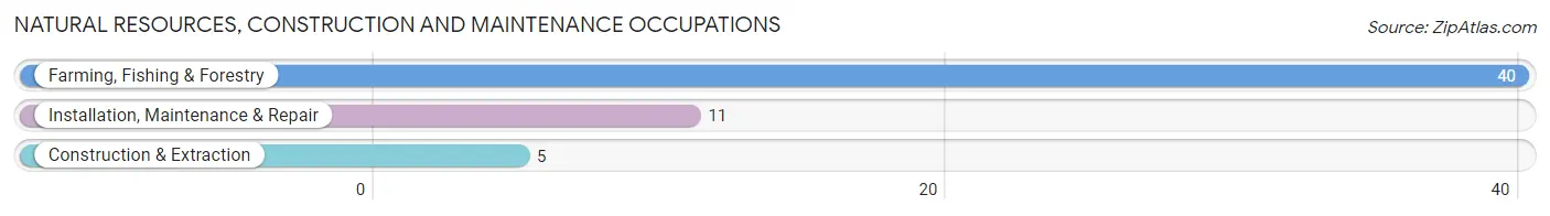 Natural Resources, Construction and Maintenance Occupations in Zip Code 67741