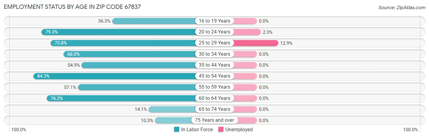 Employment Status by Age in Zip Code 67837
