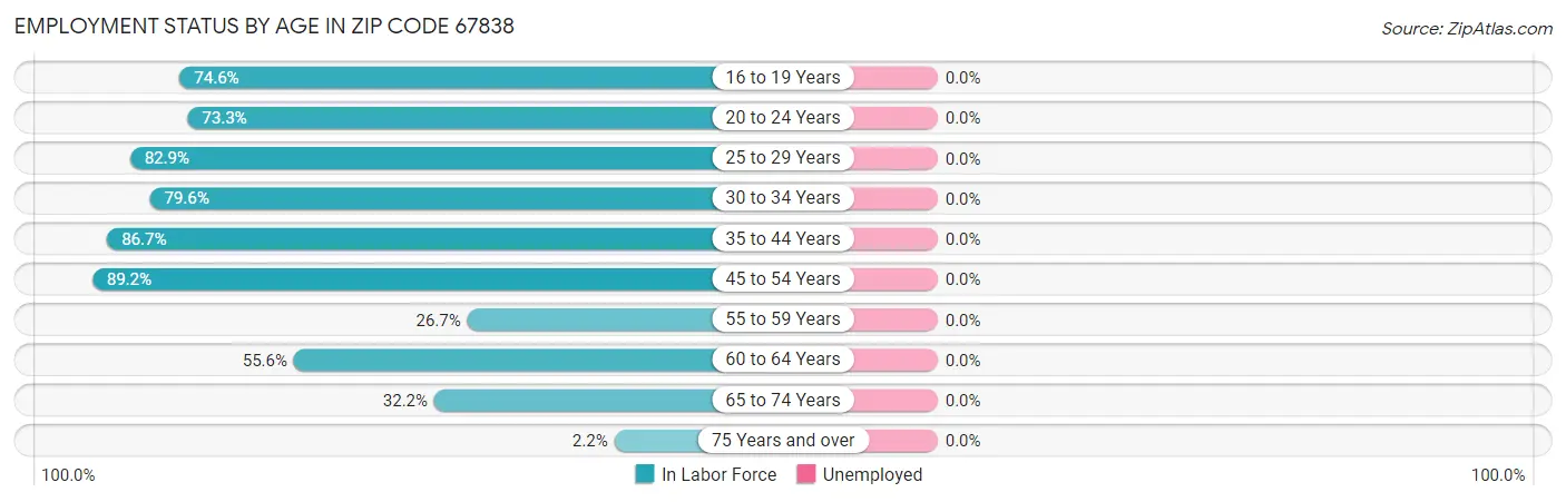 Employment Status by Age in Zip Code 67838