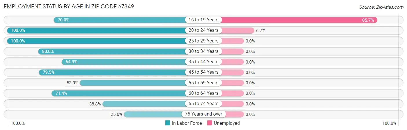 Employment Status by Age in Zip Code 67849