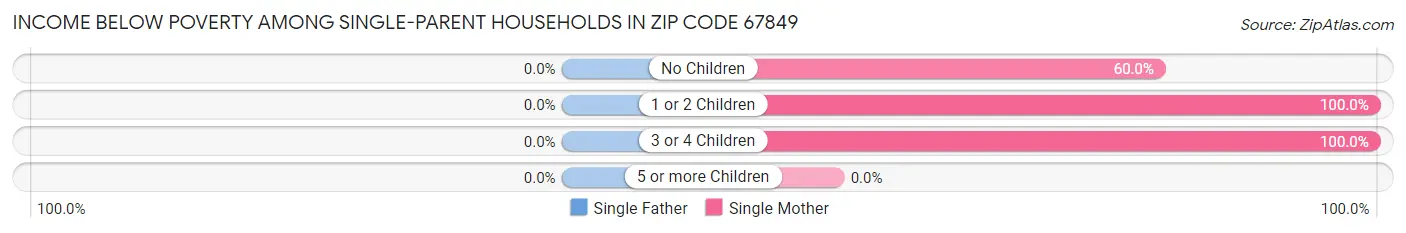 Income Below Poverty Among Single-Parent Households in Zip Code 67849