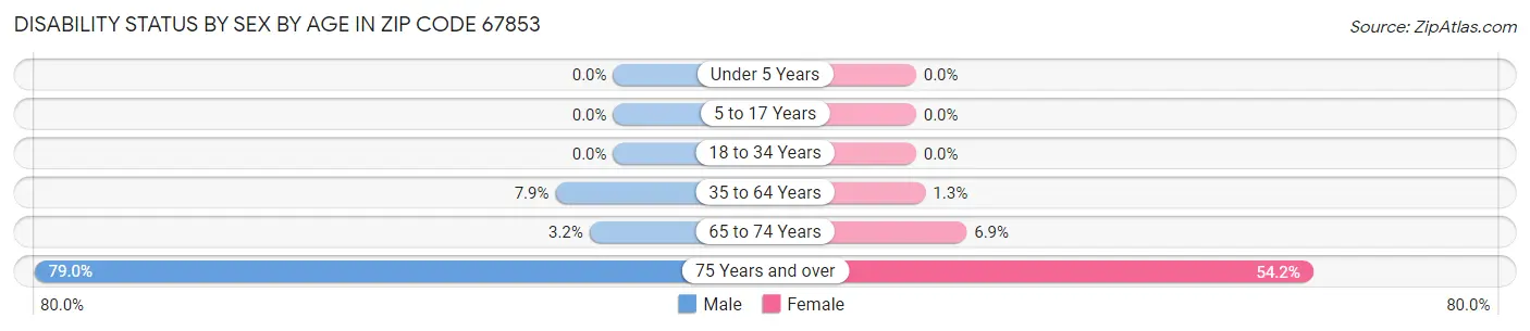 Disability Status by Sex by Age in Zip Code 67853
