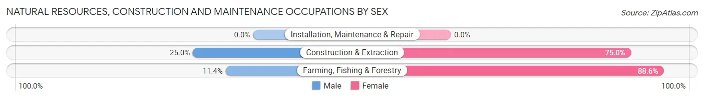 Natural Resources, Construction and Maintenance Occupations by Sex in Zip Code 67862