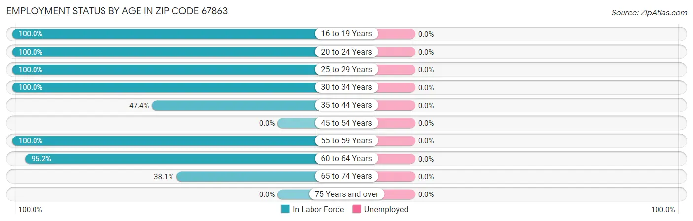 Employment Status by Age in Zip Code 67863
