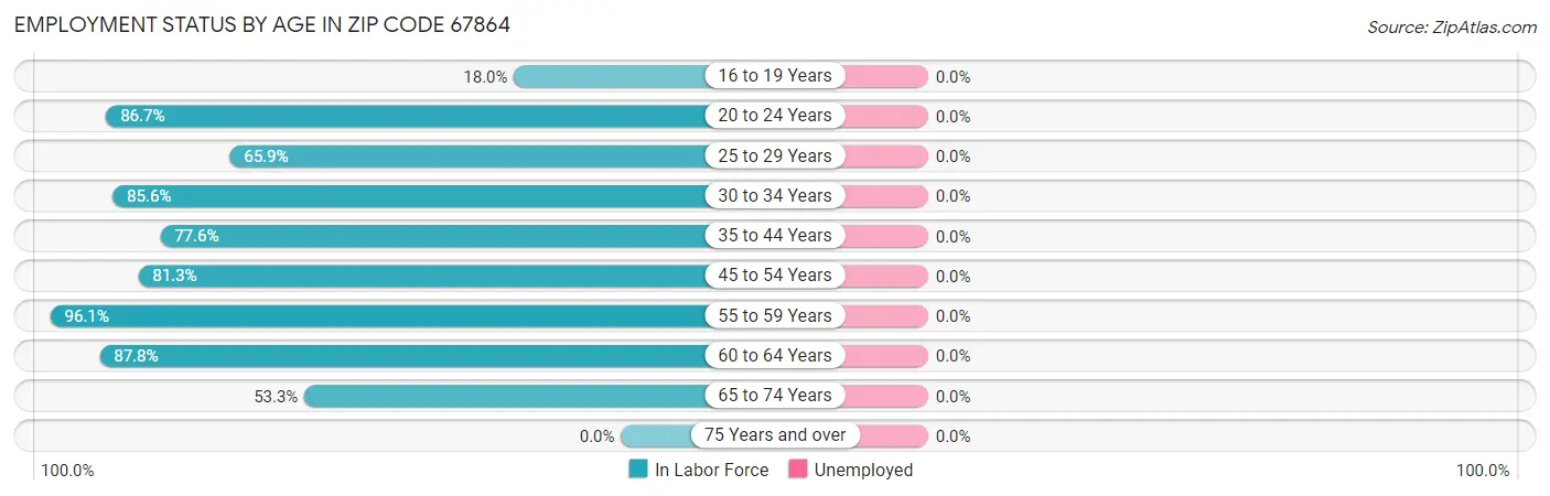 Employment Status by Age in Zip Code 67864