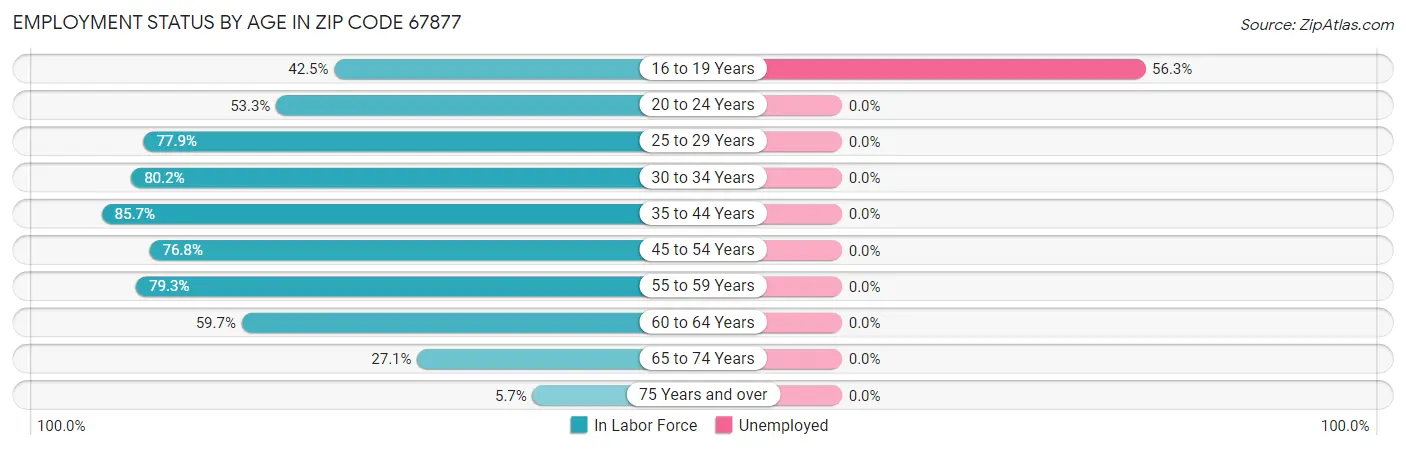 Employment Status by Age in Zip Code 67877