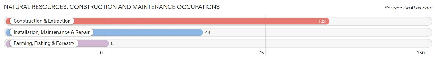 Natural Resources, Construction and Maintenance Occupations in Zip Code 68002