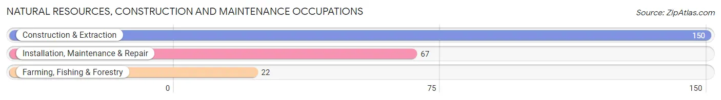 Natural Resources, Construction and Maintenance Occupations in Zip Code 68003