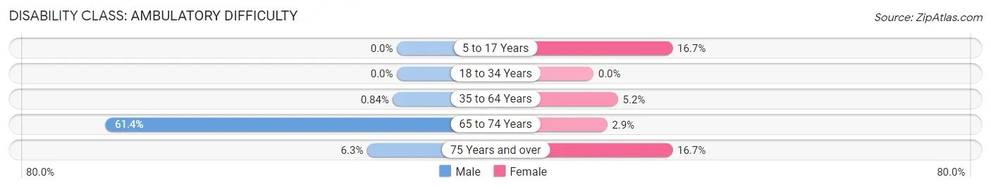 Disability in Zip Code 68034: <span>Ambulatory Difficulty</span>