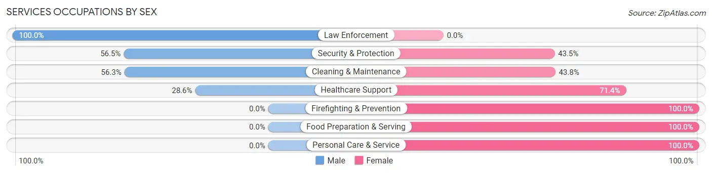 Services Occupations by Sex in Zip Code 68038